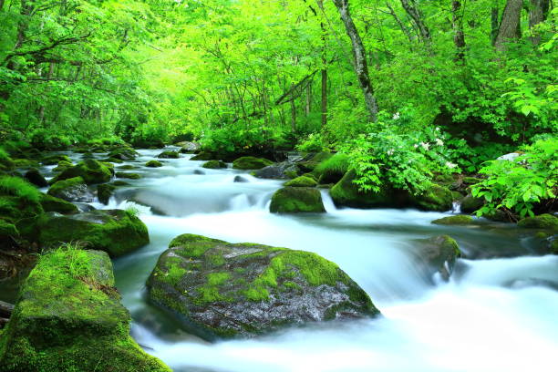 sommerbergbach - spring waterfall japan landscape stock-fotos und bilder