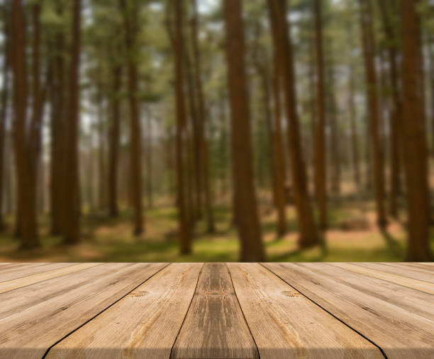 istock Empty wooden desk of free space and spring time with blurred background. 1139944969