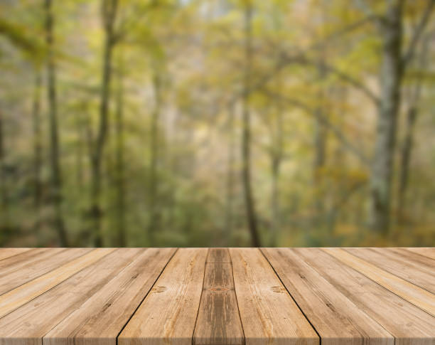 istock Empty wooden desk of free space and spring time with blurred background. 1139945906