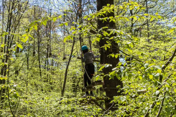 Photo of Climbing course in the forest with person in action