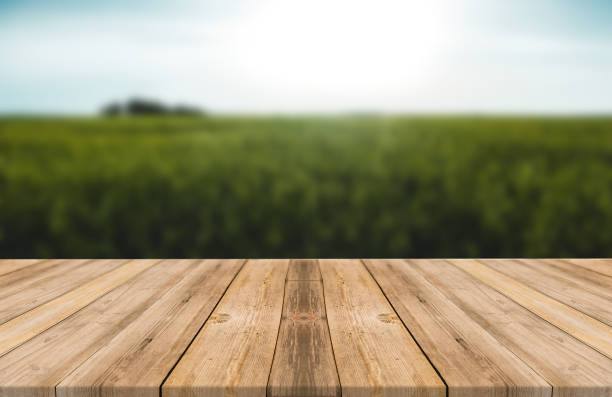 istock Empty wooden desk of free space and spring time with blurred background. 1139948226
