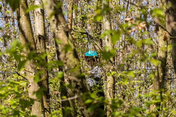 Photo of Climbing course in the forest with person in action