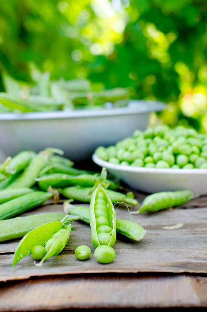 istock Pods of young green peas and pea 1139955312