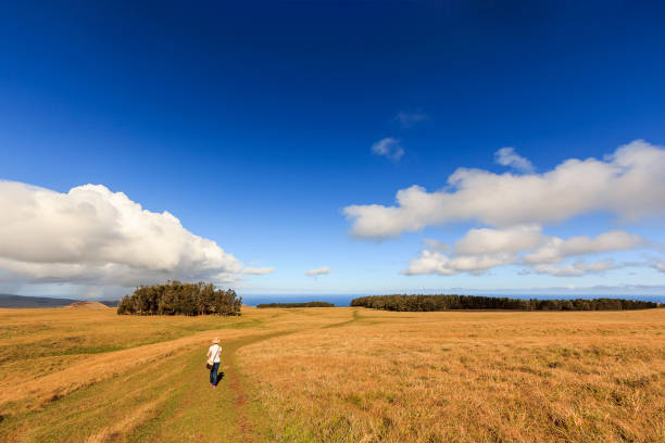 istock Woman Walking Way to Terevaka in Easter Island 1139955842