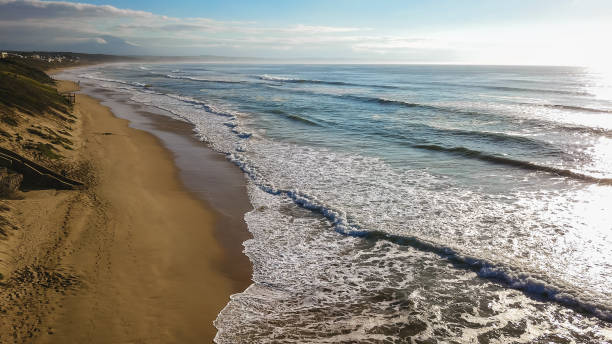 istock Beach in South Africa 1139957120