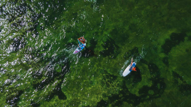 istock Sailboats in green waters 1139957235