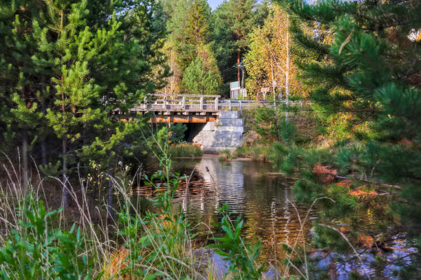 istock Autumn landscape sunny warm day in the forest by the river 1139957251