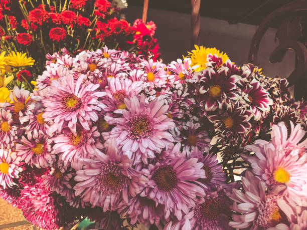 istock Multicolored flowers on a sunny day outside. Close-up shot 1139960076