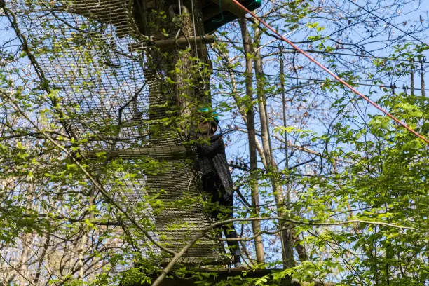 Photo of Climbing course in the forest with person in action