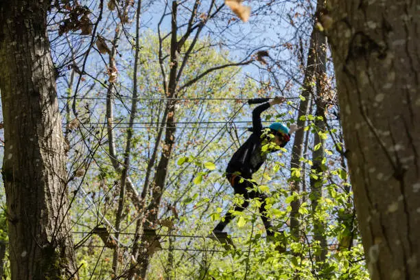 Photo of Climbing course in the forest with person in action