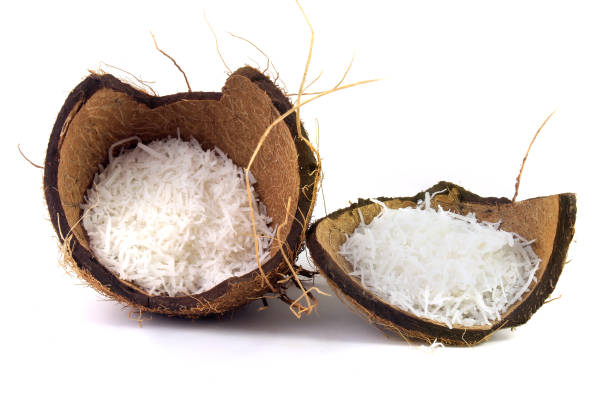 fiocchi di cocco freschi posti in corteccia e guscio isolati su sfondo bianco. vista frontale - powdered coconut foto e immagini stock