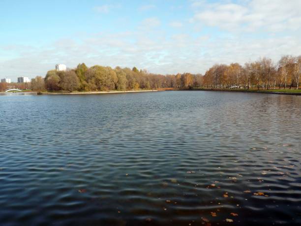 istock autumn in city park at day 1139963282