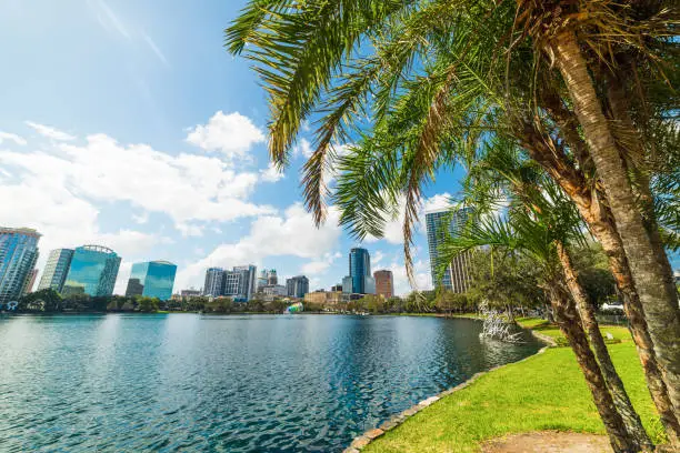 Palm trees and skyscrapers in Lake Eola park in Orlando. Florida, USA