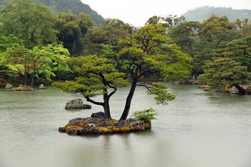 Rain on a Japanese lake near Kyoto