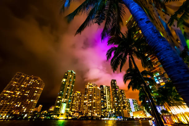 istock Skyscrapers and palm trees in Miami river walk at night 1139964772