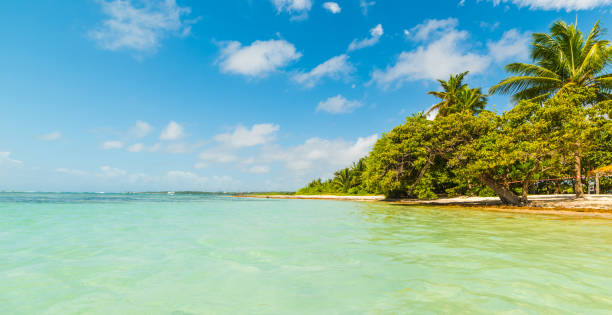 istock Colorful shore in Bois Jolan beach in Guadeloupe 1139965117