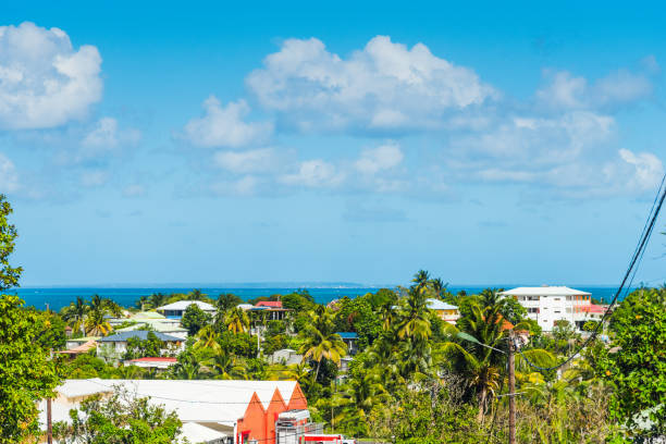 istock Guadeloupe shore on a clear day 1139965221