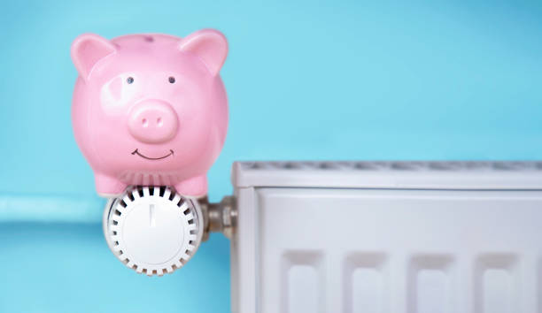 Piggy bank sitting on the heater Piggy bank sitting on the heater / thermostat animal representation photos stock pictures, royalty-free photos & images