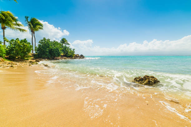 istock Golden sand in Bas du Fort shore in Guadeloupe 1139967185