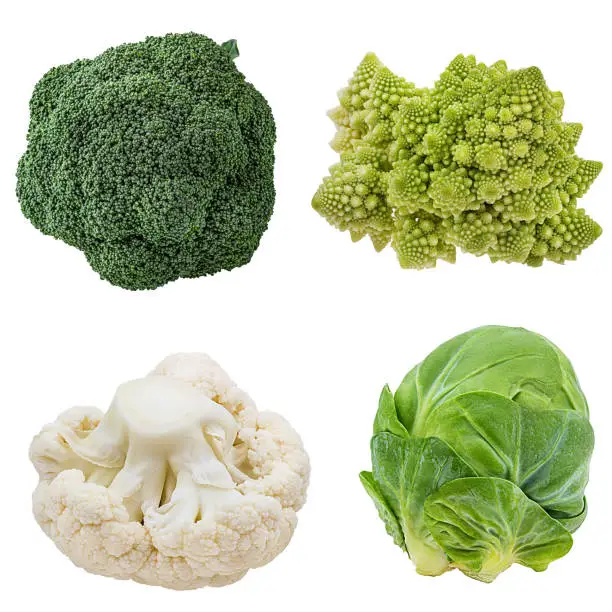 Fresh broccoli, cauliflower and romanesco, brussels isolated on white background with clipping path