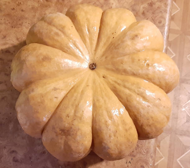 istock Big orange ripe pumpkin 1139969117