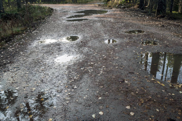 istock Bad forest road in a pine forest after the rain. 1139970075