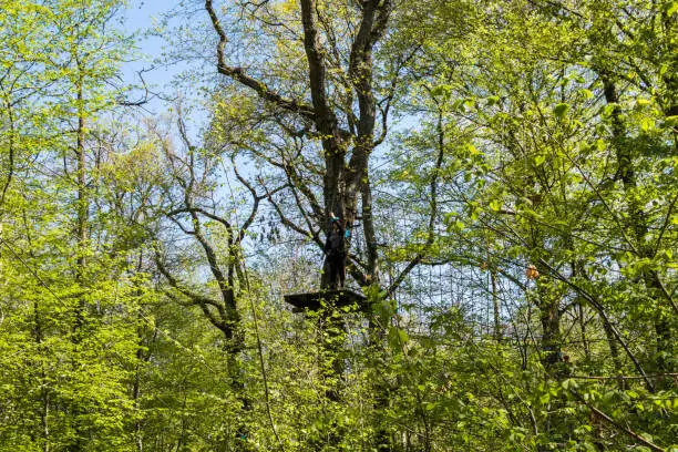 Photo of Climbing course in the forest with person in action