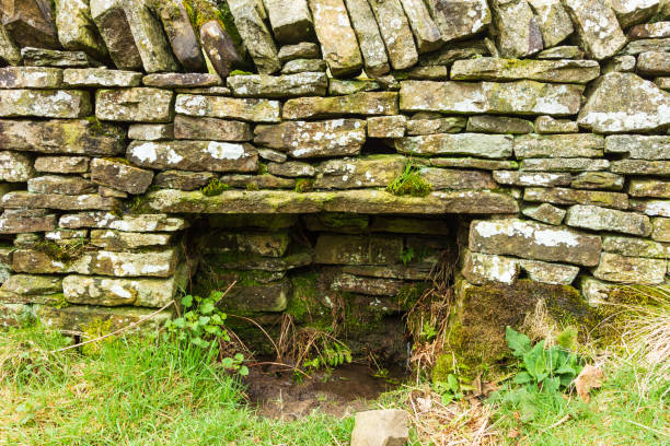 istock A view of a stone wall with green vegetation 1139972276
