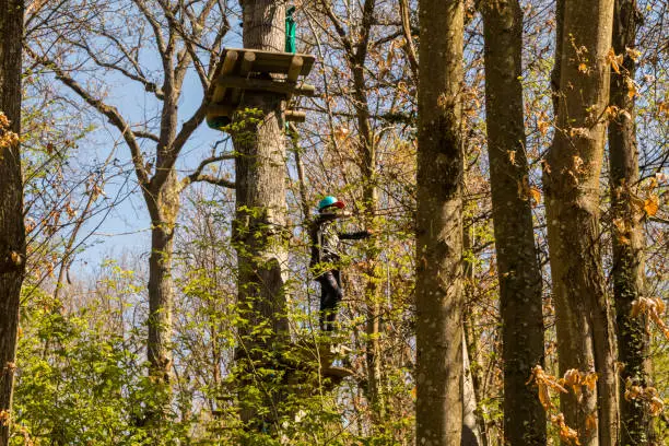 Photo of Climbing course in the forest with person in action