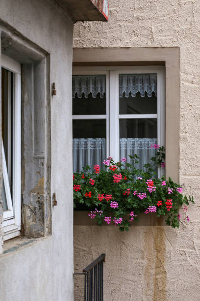 istock Flowers on the windowsill 1139981747