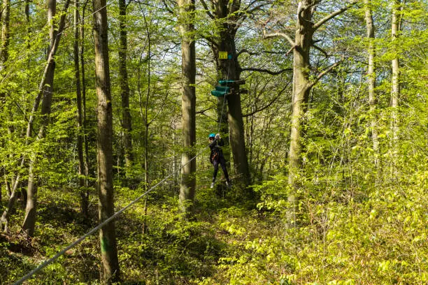 Photo of Climbing course in the forest with person in action