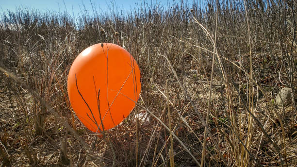 Balloon Caught in the Beach Grass Field
