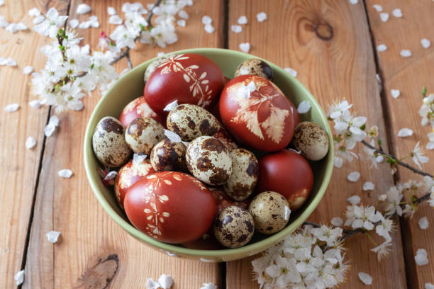 istock Quail and Easter eggs dyed with onion peels with a pattern of fresh herbs, with cherry blossoms 1139984360