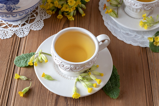 A cup of herbal tea with fresh wild primula flowers