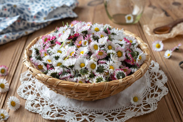 istock Common daisy flowers in a wicker basket 1139984549