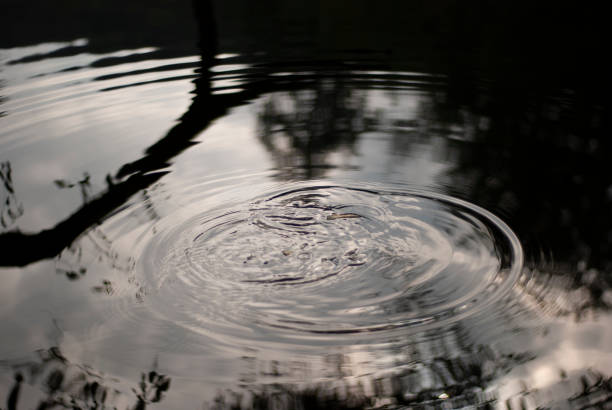 istock Lake water moving circullar becouse something dropped on its surface and refl 1139990826