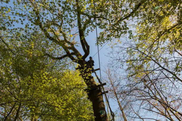 Photo of Climbing course in the forest with person in action