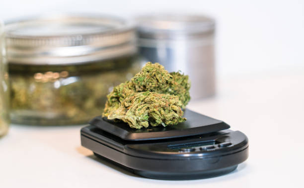 flower buds sitting on a digital sclae marijuana legalization THC Recreational and Medical stock photo