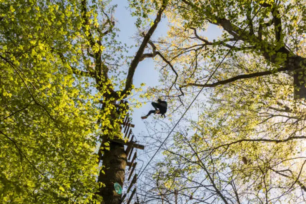 Photo of Climbing course in the forest with person in action