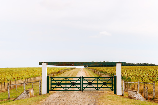 Front view of entrance gate to a field of sunflowers