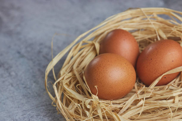 istock Brown eggs in hay nest on light concrete. fresh farm eggs. horizontal view of raw chicken eggs. The concept of the village. copy space. 1139995438