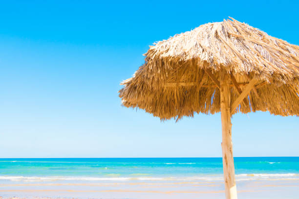 istock Beautiful Nature Summer Tropical Beach Background 1139999322