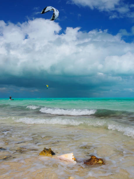 kitesurfing na plaży, turks i caicos - turks and caicos islands caicos islands bahamas island zdjęcia i obrazy z banku zdjęć