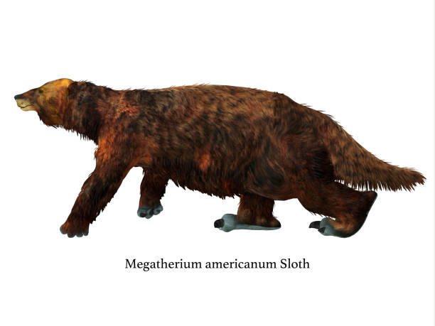 istock Megatherium Sloth Walking with Font 1140006965
