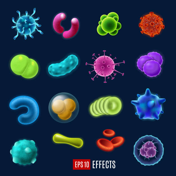 세균, 바이러스 및 박테리아, 벡터 - fecal coliform bacteria stock illustrations