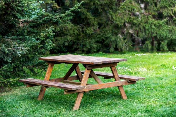 istock Wooden picnic table and bench in garden at springtime 1140009282