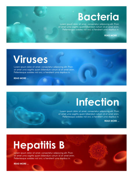 ilustrações, clipart, desenhos animados e ícones de hepatite b e infecção, bactérias e vírus - staphylococcus epidermidis