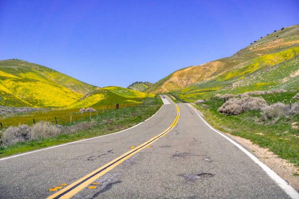 istock Paved highway going through mountains covered in wildflowers, Carrizo Plain National Monument area, Central California 1140014877