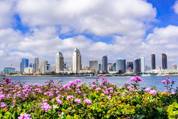 panoramic view of the downtown san diego skyline taken from coronado island, california - pacific ocean fotos imagens e fotografias de stock