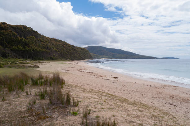 istock Australian sandy beach with hills on the background 1140015512